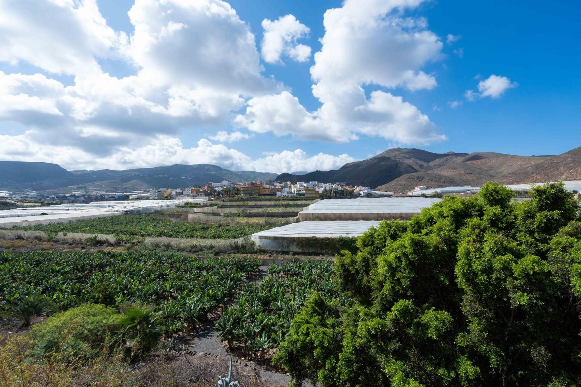 Las Fajanas De Galdar Las Palmas de Gran Canaria Exterior foto